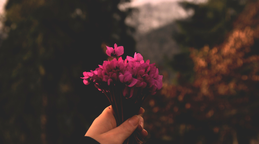 We’re live 🎉 Paper Bento is now open