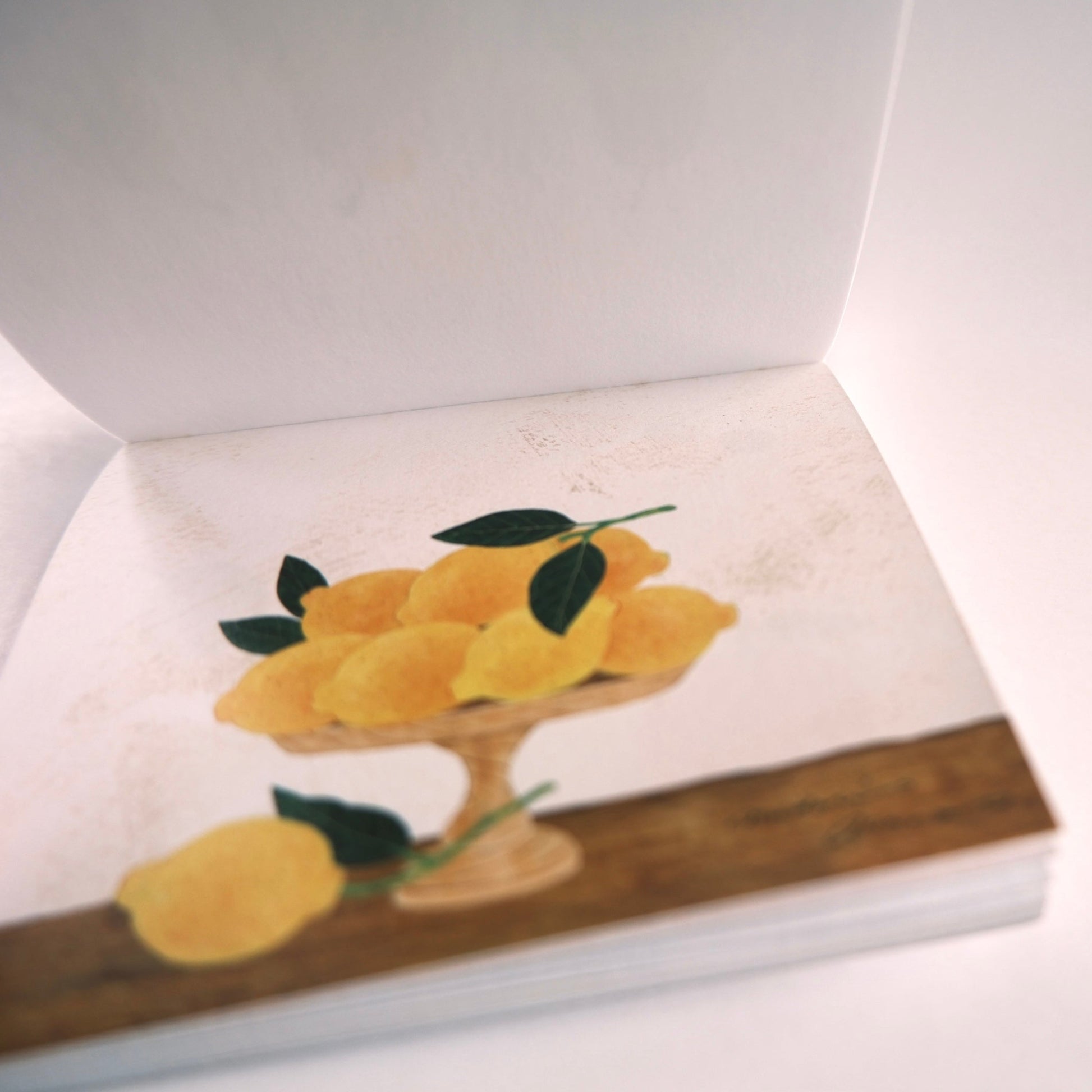Book with a lemon illustration on a white background